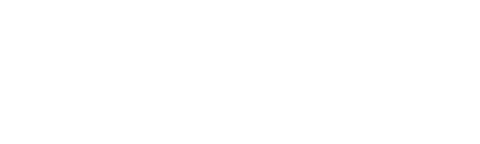 PCI DSS Level 1 certification badge